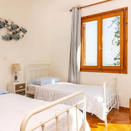 Central City Apartment Apartment
